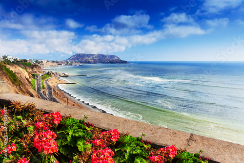Flowers by the ocean. Lima. photo