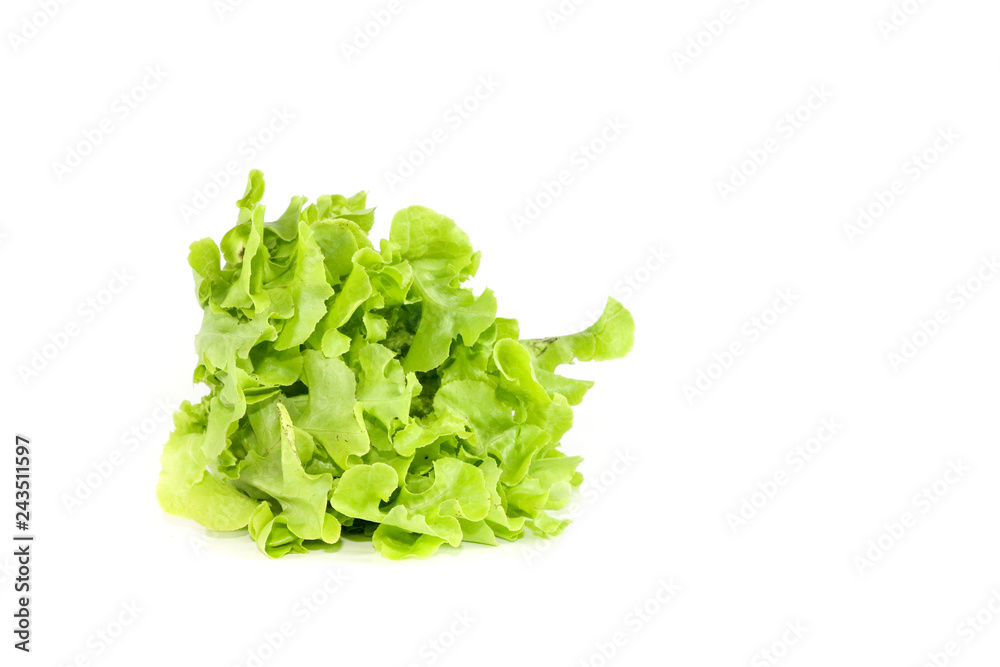 Salad leaf. Lettuce isolated Close up Salad leaf. Lettuce isolated Close up
