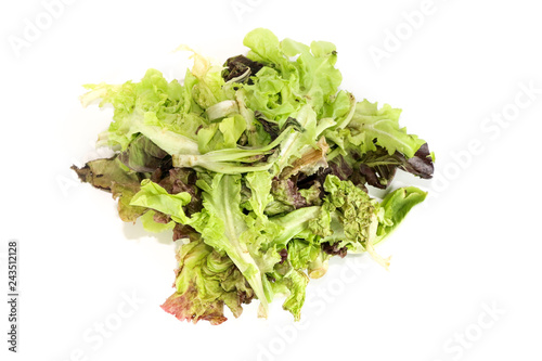 Salad leaf. Lettuce isolated Close up