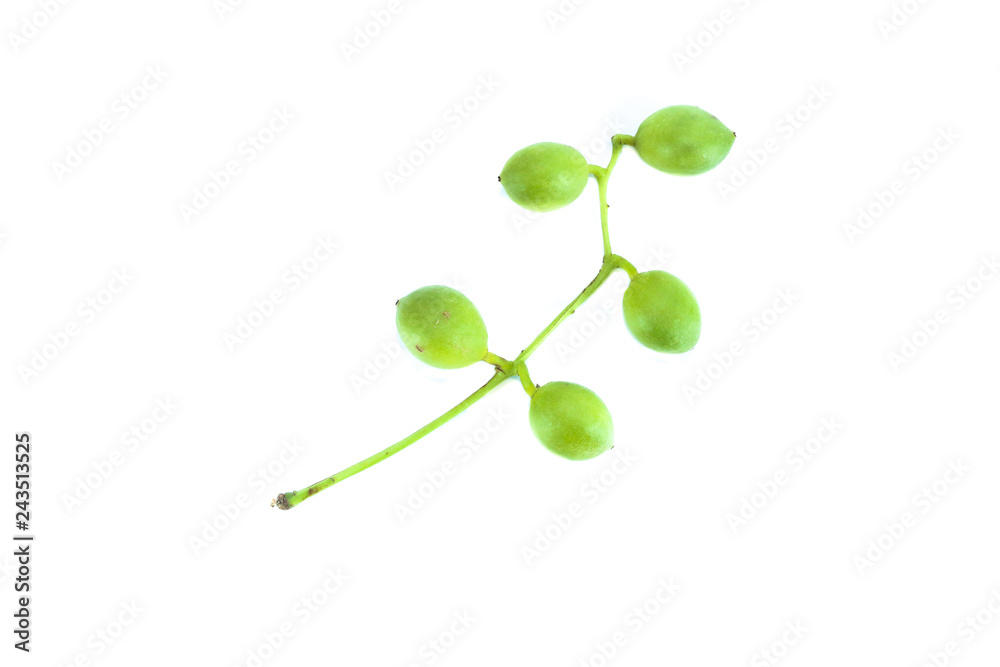 Obraz premium Burmese Grape green Close up