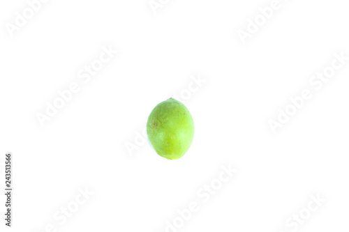 Burmese Grape green Close up
