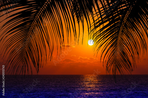 palm trees and amazing cloudy sky on sunset © EwaStudio