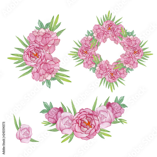 Fototapeta Naklejka Na Ścianę i Meble -  Watercolor flowers. Set of different pink peony. Watercolor illustration