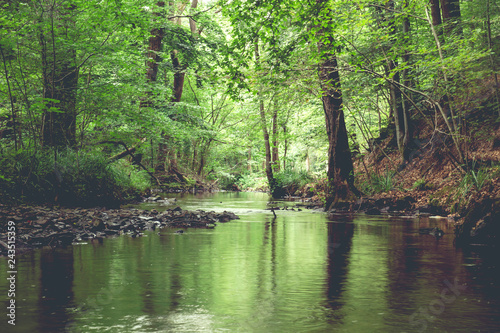 Fototapeta Naklejka Na Ścianę i Meble -  A river crossing across a green forest