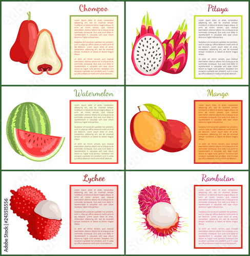 Chompoo and Pitaya Watermelon Posters Set Vector