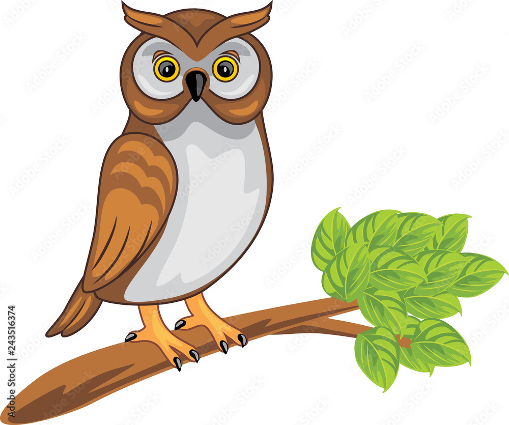 Cute owl sitting on a branch