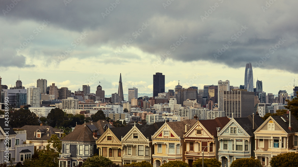 Naklejka premium Alamo Sanfrancisco