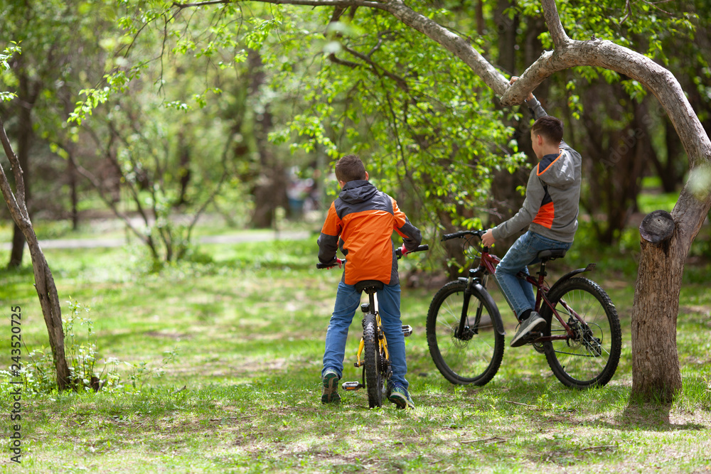 Brothers ride bicycles in summer park Brothers ride bicycles in summer park