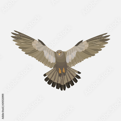 realistic eagle soaring eagle, catching prey, a symbol of freedo © dream_master