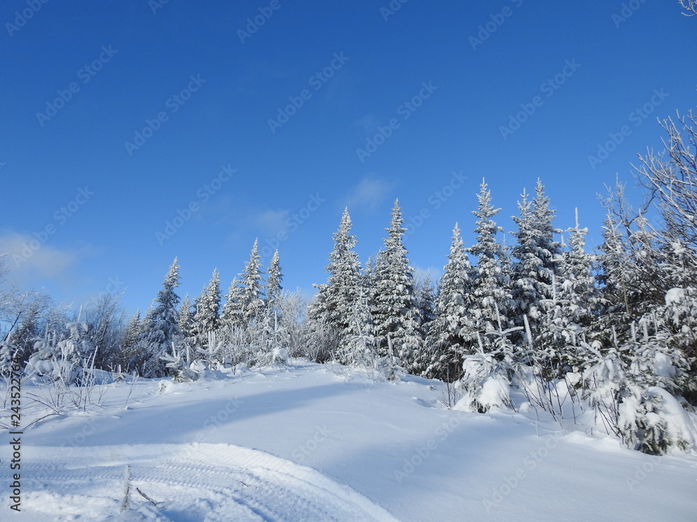 Le terrain des loisirs en hiver, Sainte-Apolline, Québec, Canada