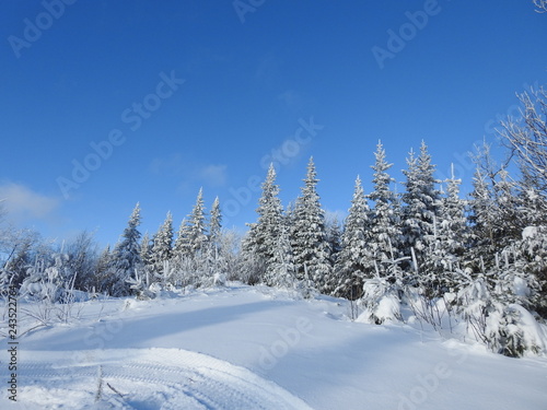 Le terrain des loisirs en hiver  Sainte-Apolline  Qu  bec  Canada