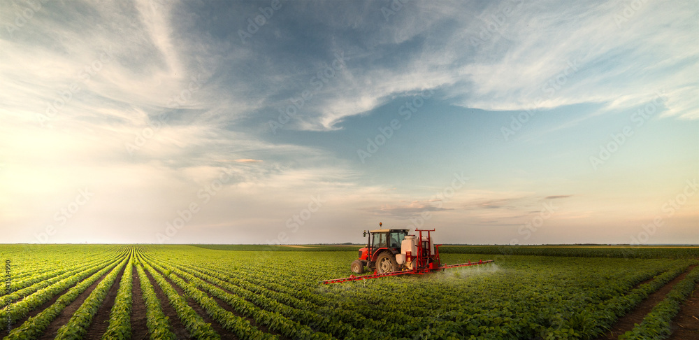 Tractor spraying pesticides at  soy bean field - obrazy, fototapety, plakaty 