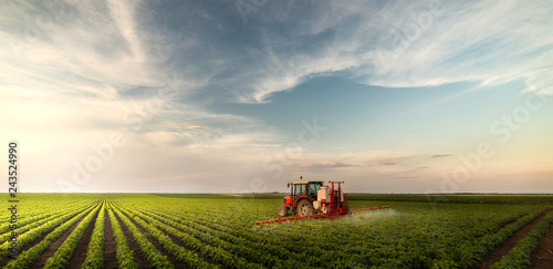 Fototapete Tractor spraying pesticides at  soy bean field