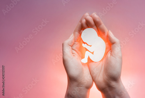 White paper embryo silhouette in woman hands on the right side. Pink and violet background. Pregnancy, contraceptive and abortion