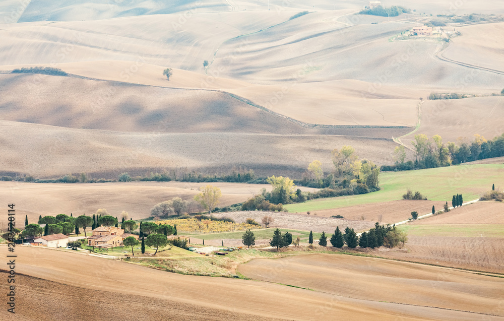 Obraz premium Scenery Golden Autumn in Tuscany, Italy