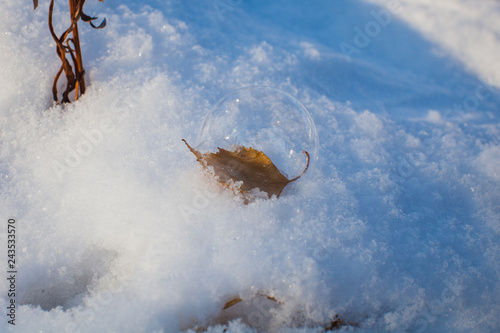snow bubble on a leaf on a snowdrift in the woods © wundermann