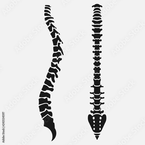 Spine emblem, anatomy human, clinic icon
