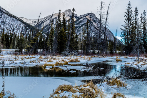 Spring thaw as the water opens at Mount Lorette Ponds, Bow Valley Provincial Park, alberta, Canada photo