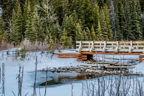 Spring thaw as the water opens at Mount Lorette Ponds, Bow Valley Provincial Park, alberta, Canada photo