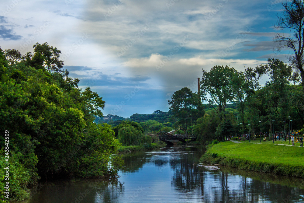 Fototapeta premium lake in forest