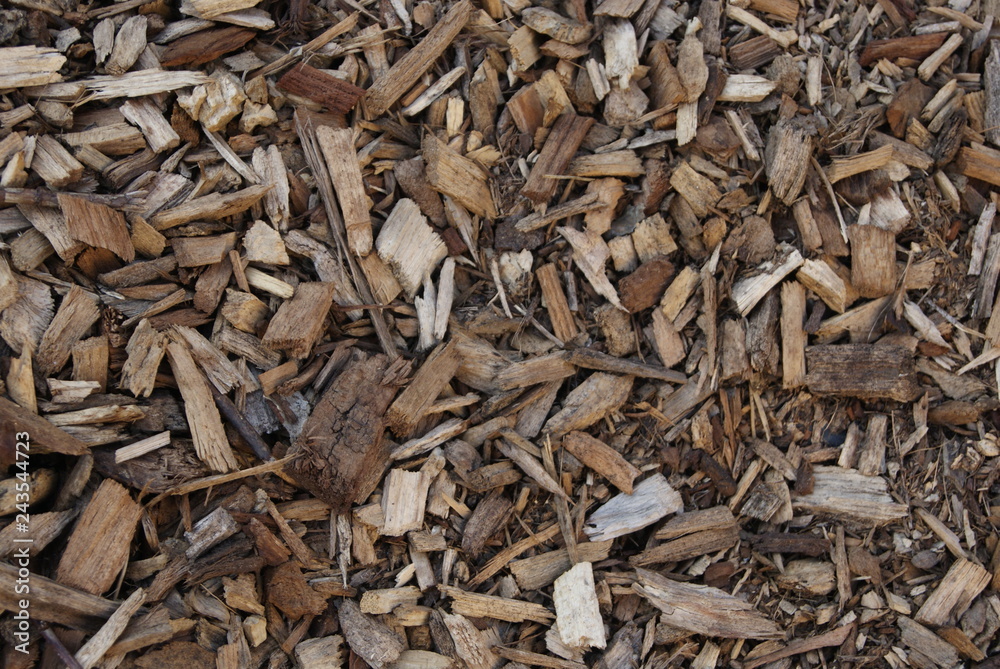 texture texture