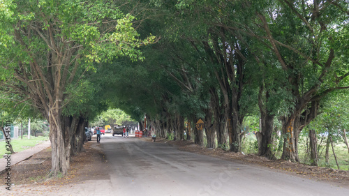 road in park, Tamasopo