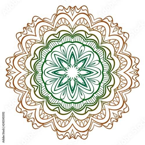 Modern Decorative Cicle Shapes. Floral mandala. vector illustration