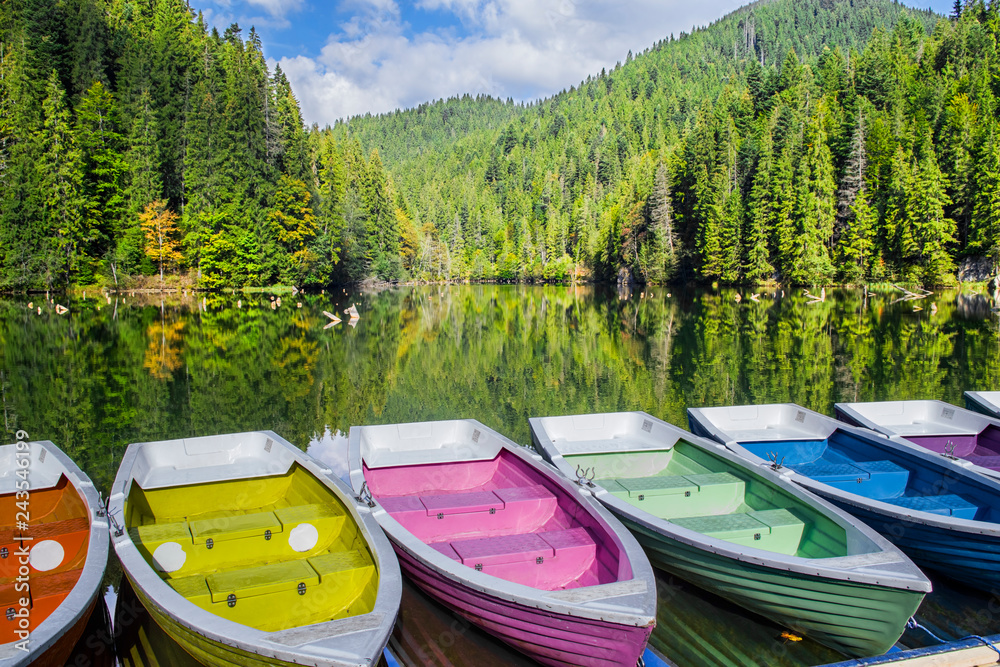 Colorful boats docked on a forest lake