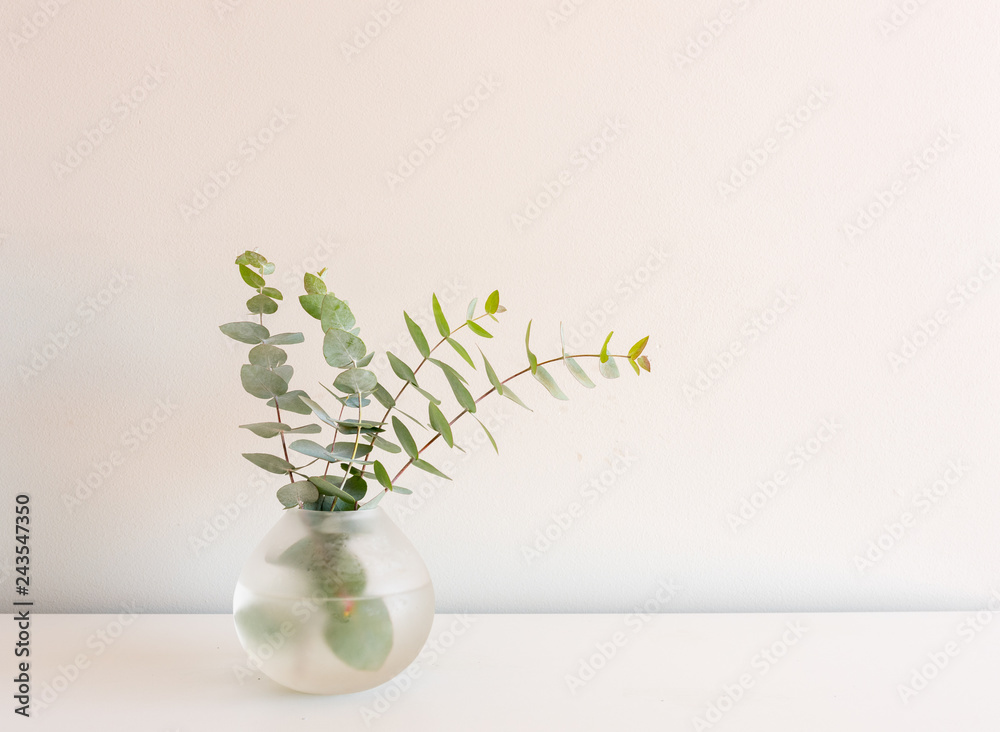 Close up of small round glass vase of eucalyptus leaves on white shelf  against neutral wall background with copy space (selective focus) foto de  Stock | Adobe Stock