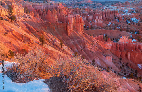 Bryce Canyon Utah Winter Landscape