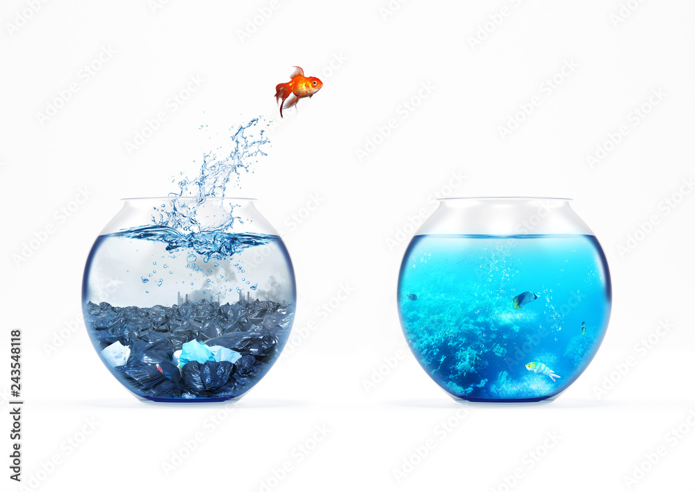 Improvement and moving concept with a goldfish jumping from a dirty aquarium to a clean one Improvement and moving concept with a goldfish jumping from a dirty aquarium to a clean one
