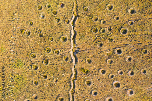 Military polygon, above view