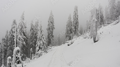 Tatra mountains at winter