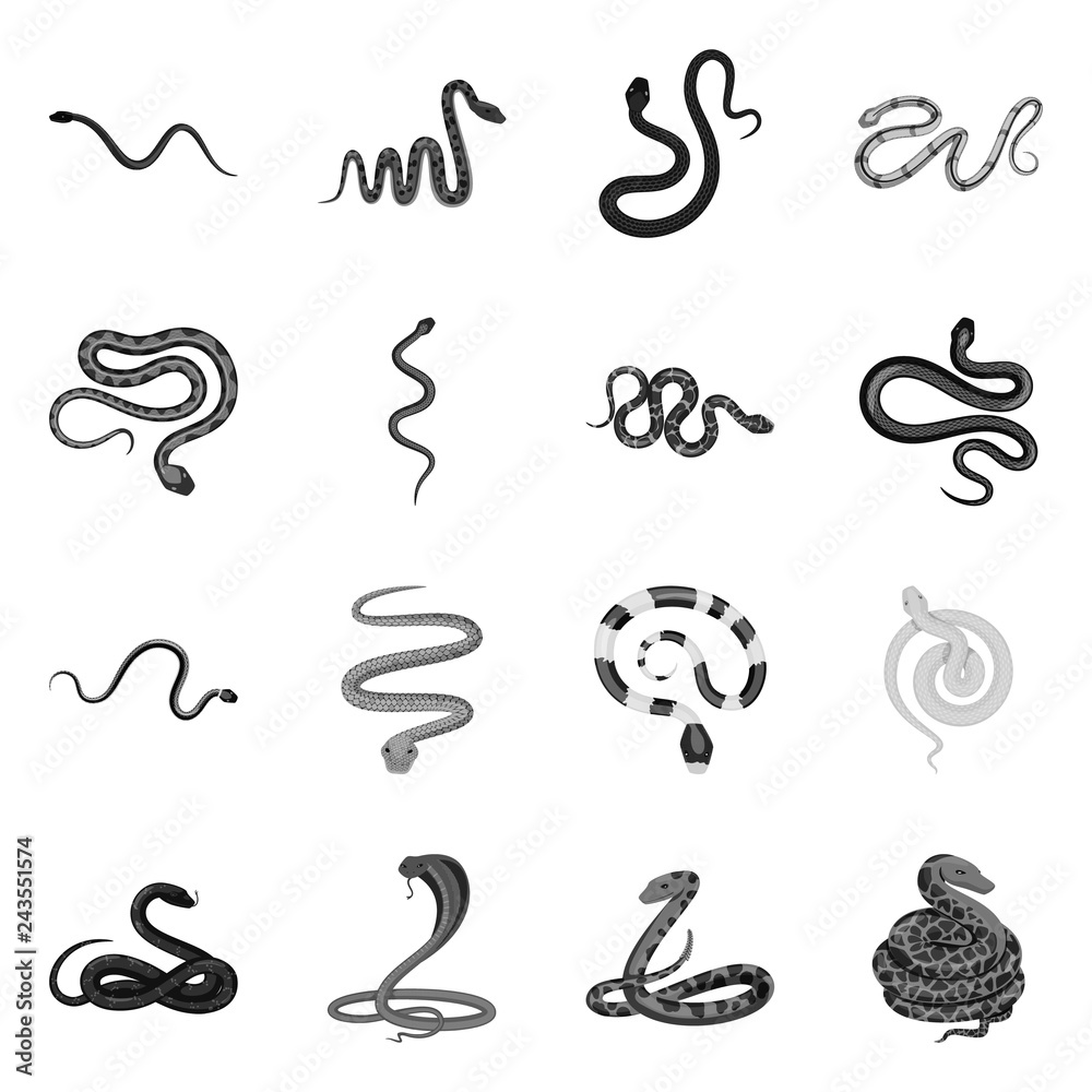 Isolated object of harm and bite symbol. Collection of harm and reptile vector icon for stock.
