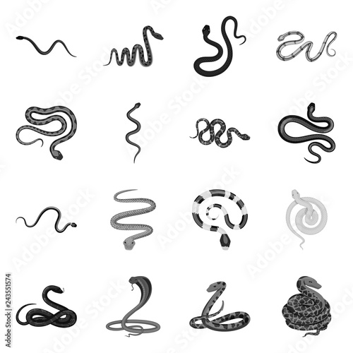Isolated object of harm and bite symbol. Collection of harm and reptile vector icon for stock.