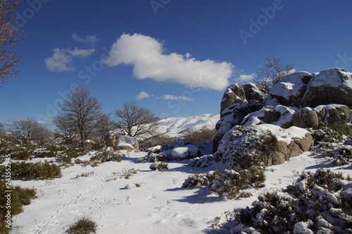 neve 