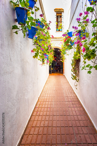 Patio with flowers