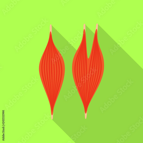 Vector illustration of human and health sign. Collection of human and scientific vector icon for stock.