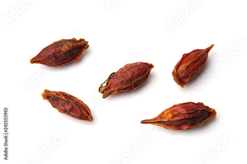 Wallpaper Mural クチナシの実 白背景 Torontodigital.ca