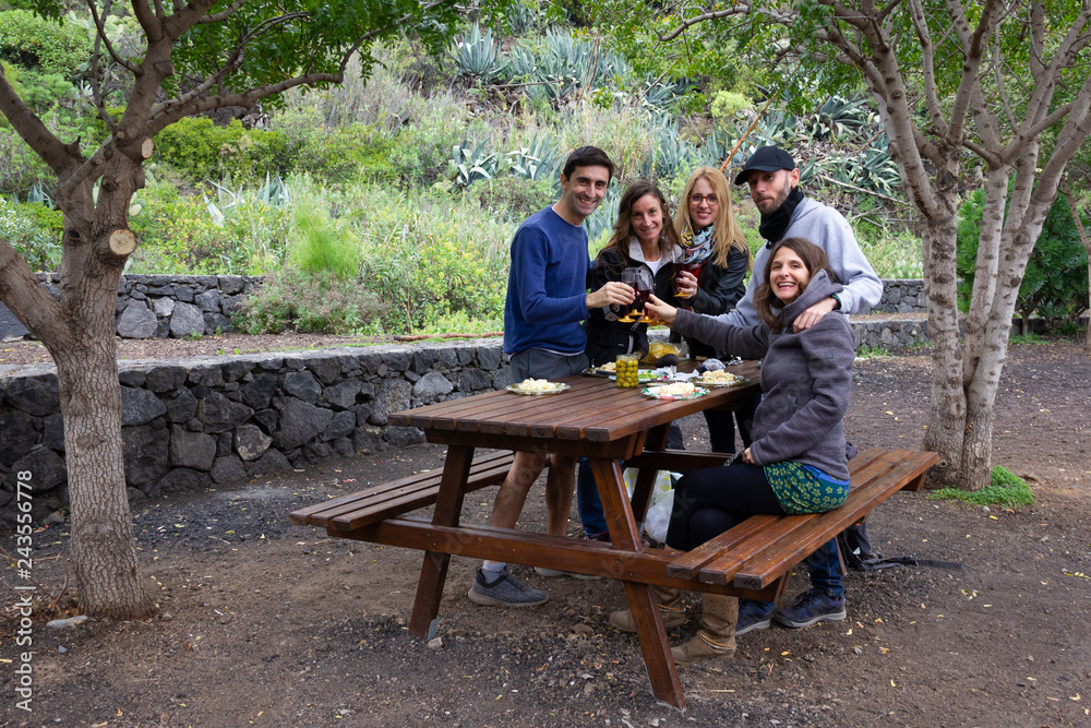 Group of friends posing on picnic while doing a toast in park. Happy young people celebrating in nature outdoors