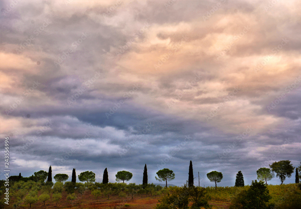 typical Tuscany countryside landscape; sunset over rolling hills
