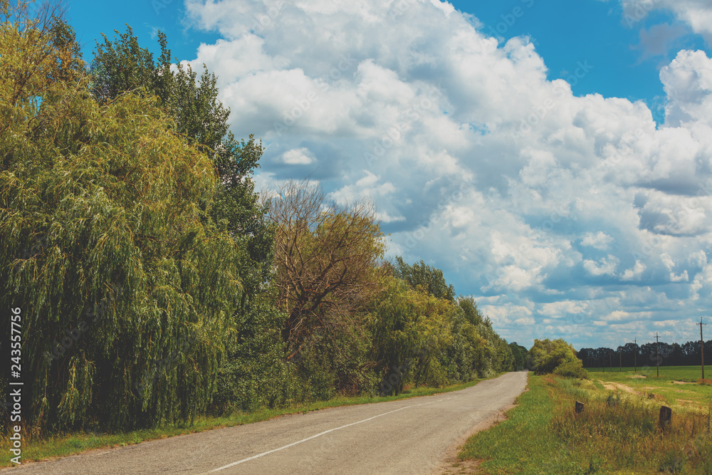 Asphalt country road on a sunny summer day Asphalt country road on a sunny summer day