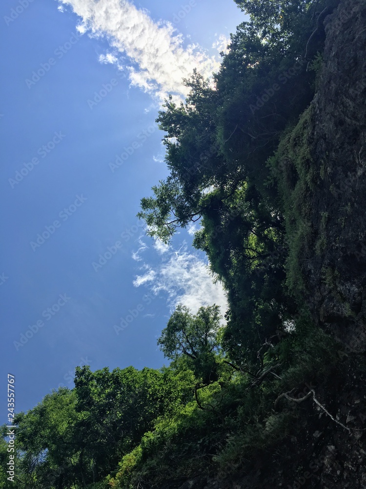 Fototapeta premium Blacksea