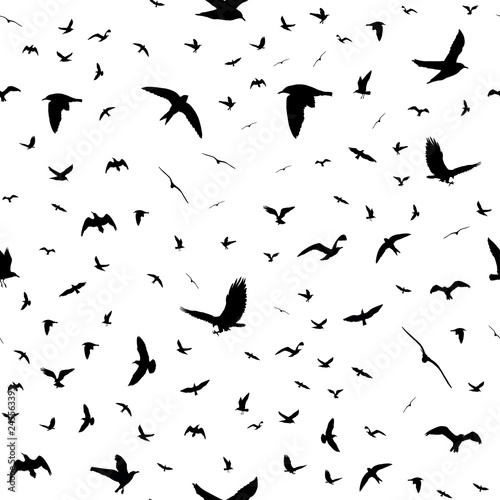 Flying birds silhouettes on white background. Animals seamless detailed pattern. Black on white backgound. Vector illustration
