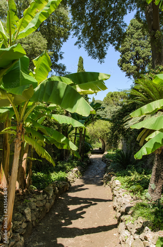 Jardin des plantes de Montpellier, France. Jardin des plantes de Montpellier, France.