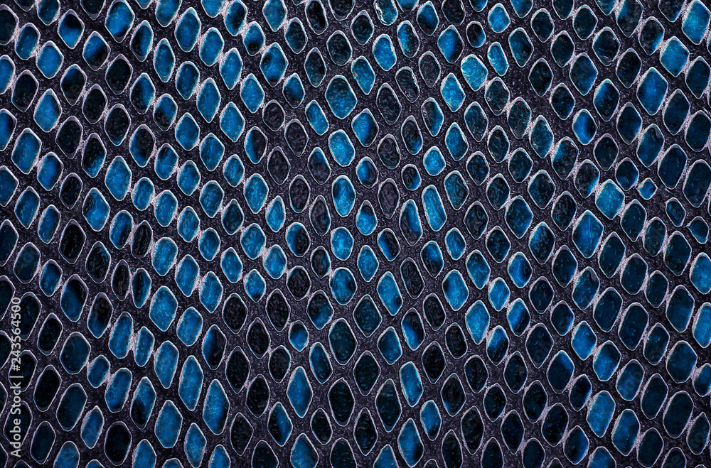 Blue snake skin background Stock Photo | Adobe Stock