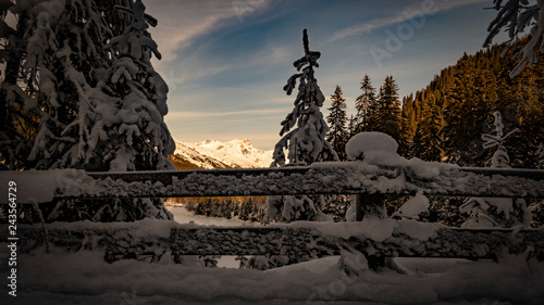 Schneebedeckter Berg durch Tannen