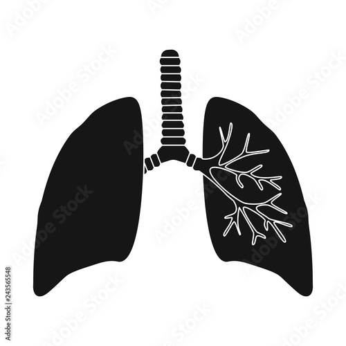 Isolated object of research and laboratory logo. Collection of research and organ stock symbol for web.