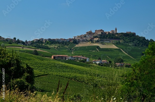 La morra, Piedmont, Italy. July 2018