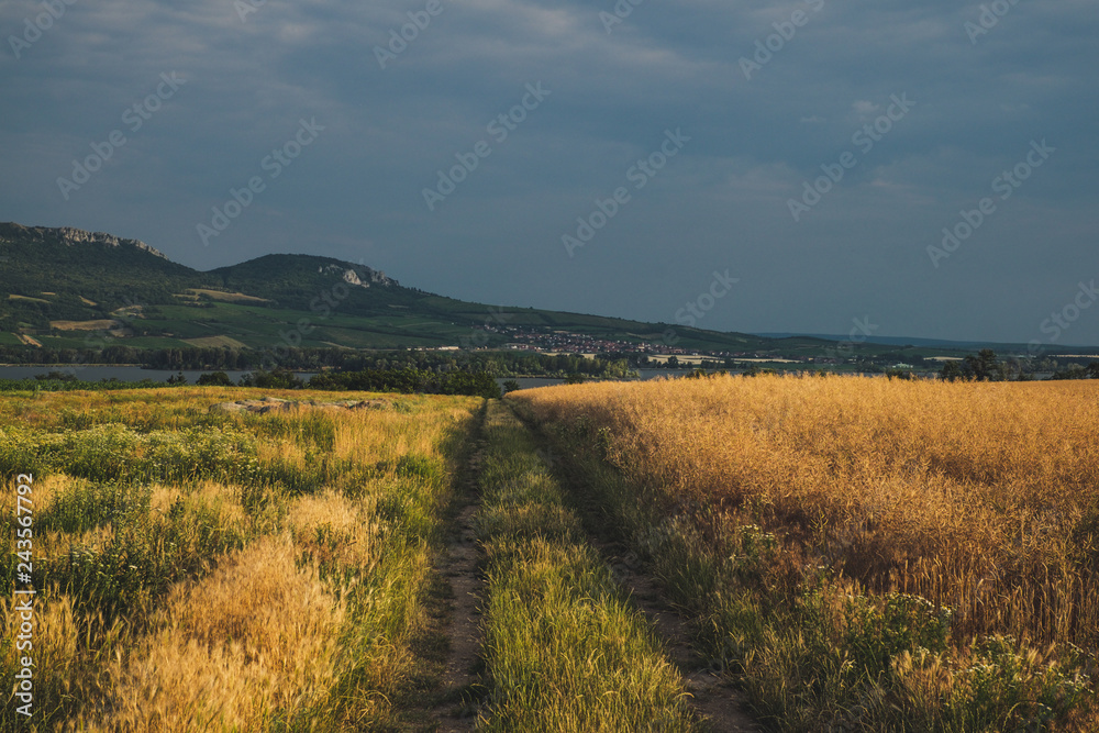 Sunser over path in the fields, Moravian region, around Podyji National Park, Czech Republic. Nove Mlyny lake. Bicycle trip. Sunser over path in the fields, Moravian region, around Podyji National Park, Czech Republic. Nove Mlyny lake. Bicycle trip.